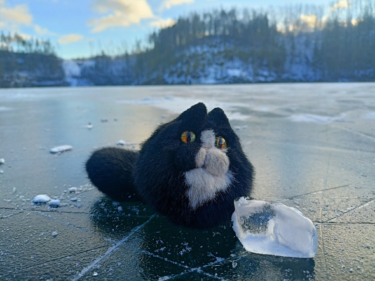 Няма на Старой Линзе