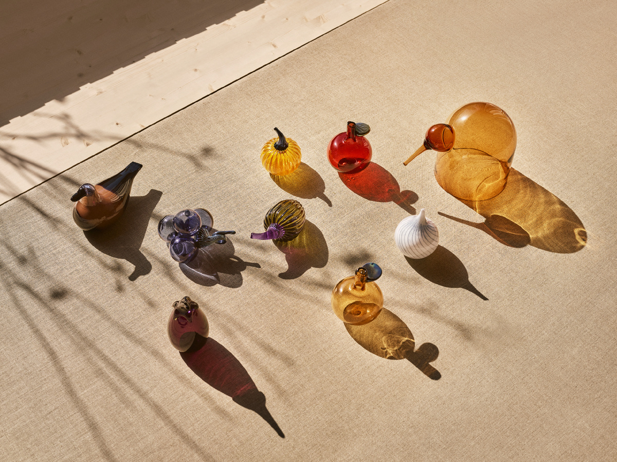 Птицы, покорившие мир