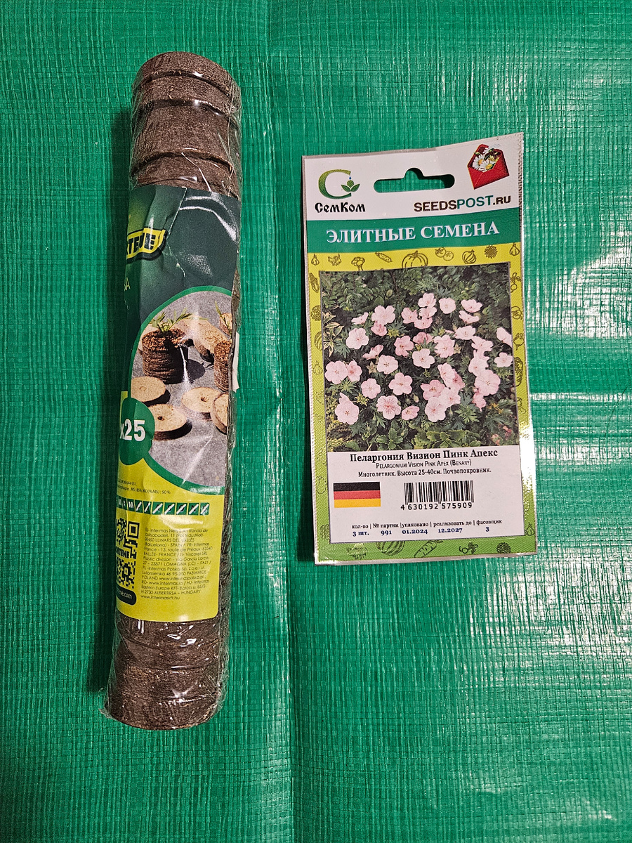 Торфяные таблетки и семена готовы