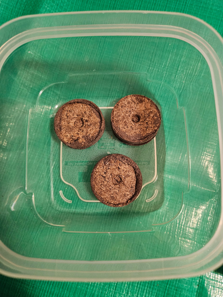 Сухие таблетки