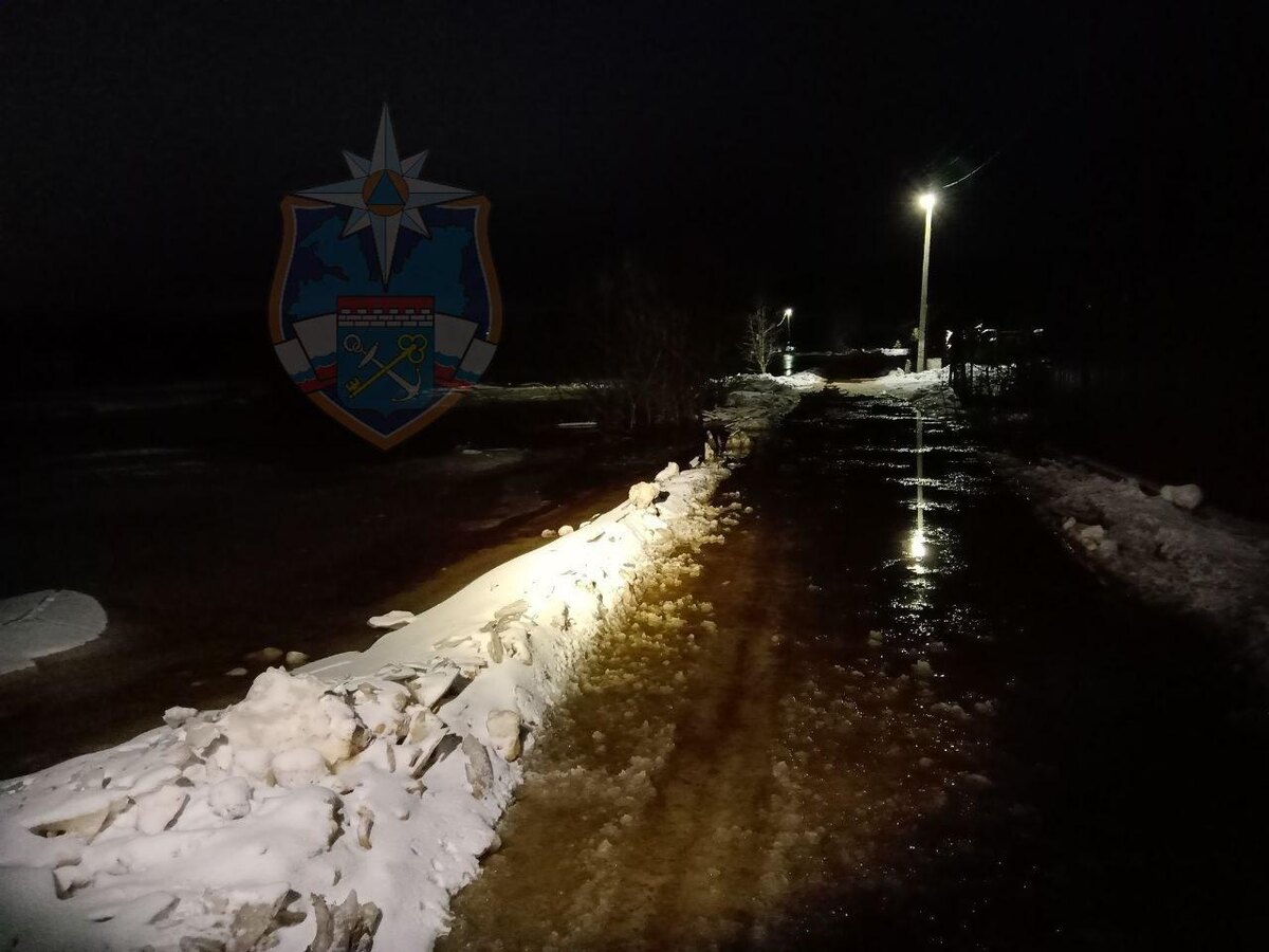    Фото: t.me/acclenobl