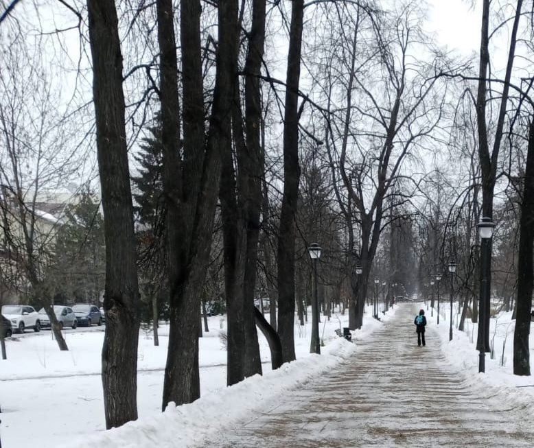    Фото: Администрация Петрозаводского городского округа