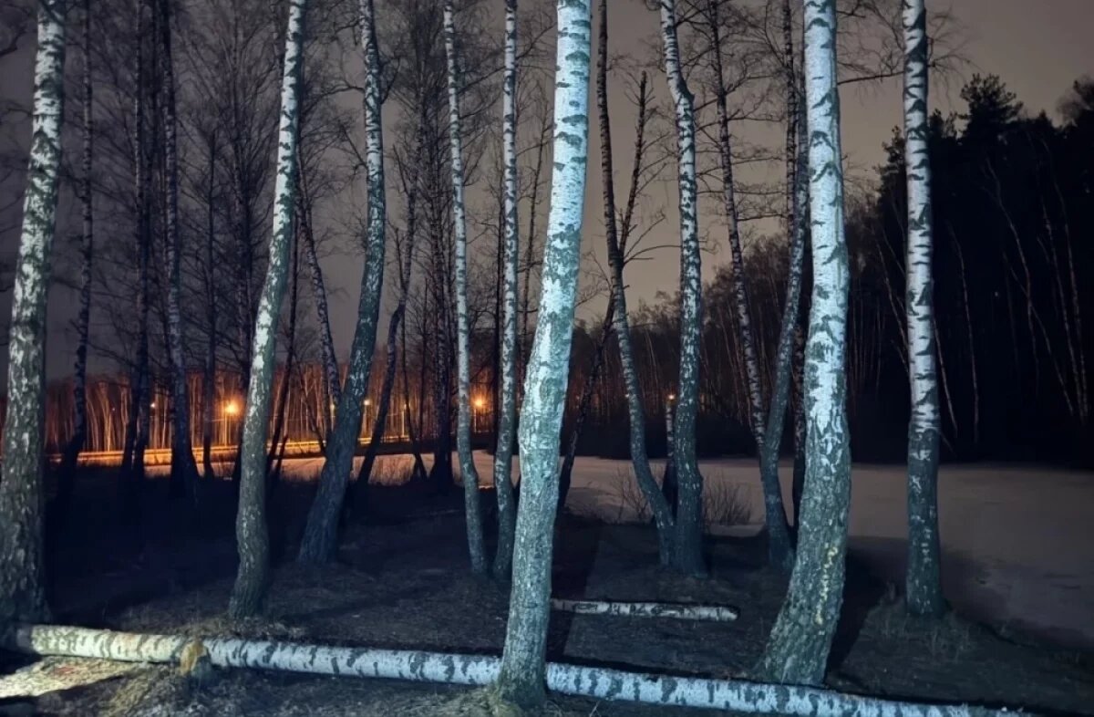    Место трагедии.