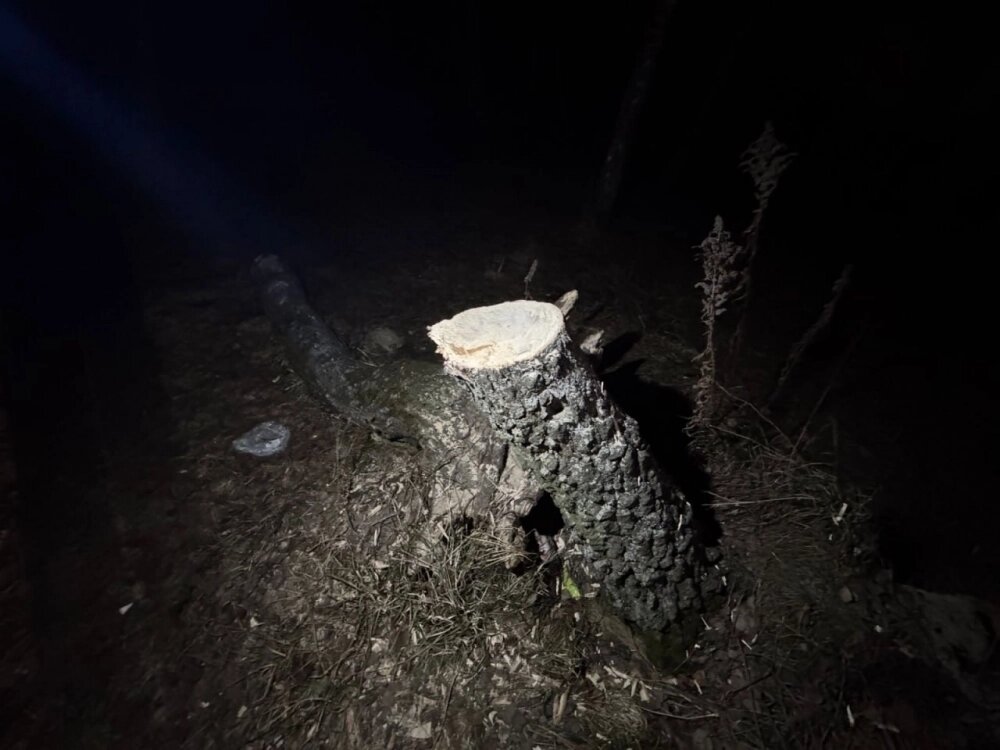    Фото: ГСУ СК России по Московской области