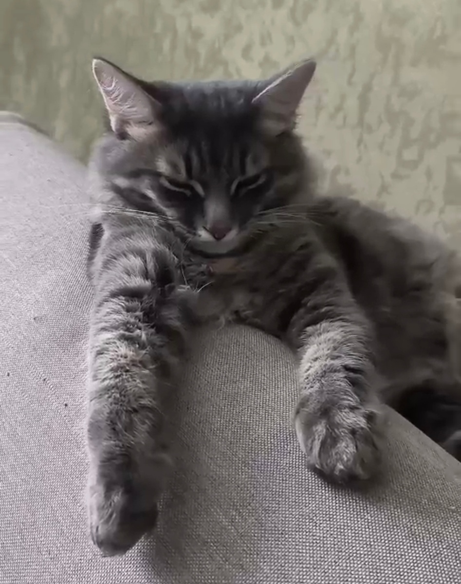 Всё фотографии в статье авторские