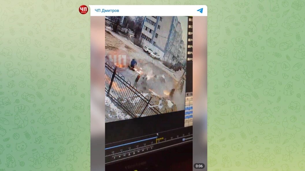    ЧП Дмитров/Globallookpress