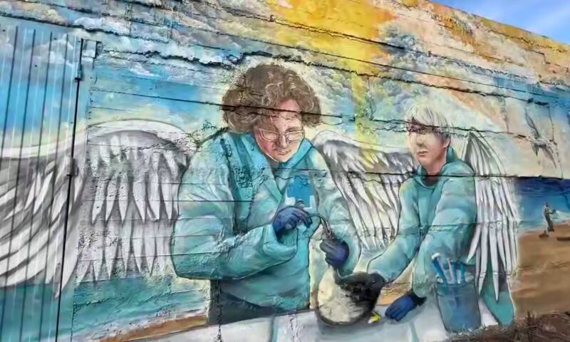    Видео t.me/opershtab23