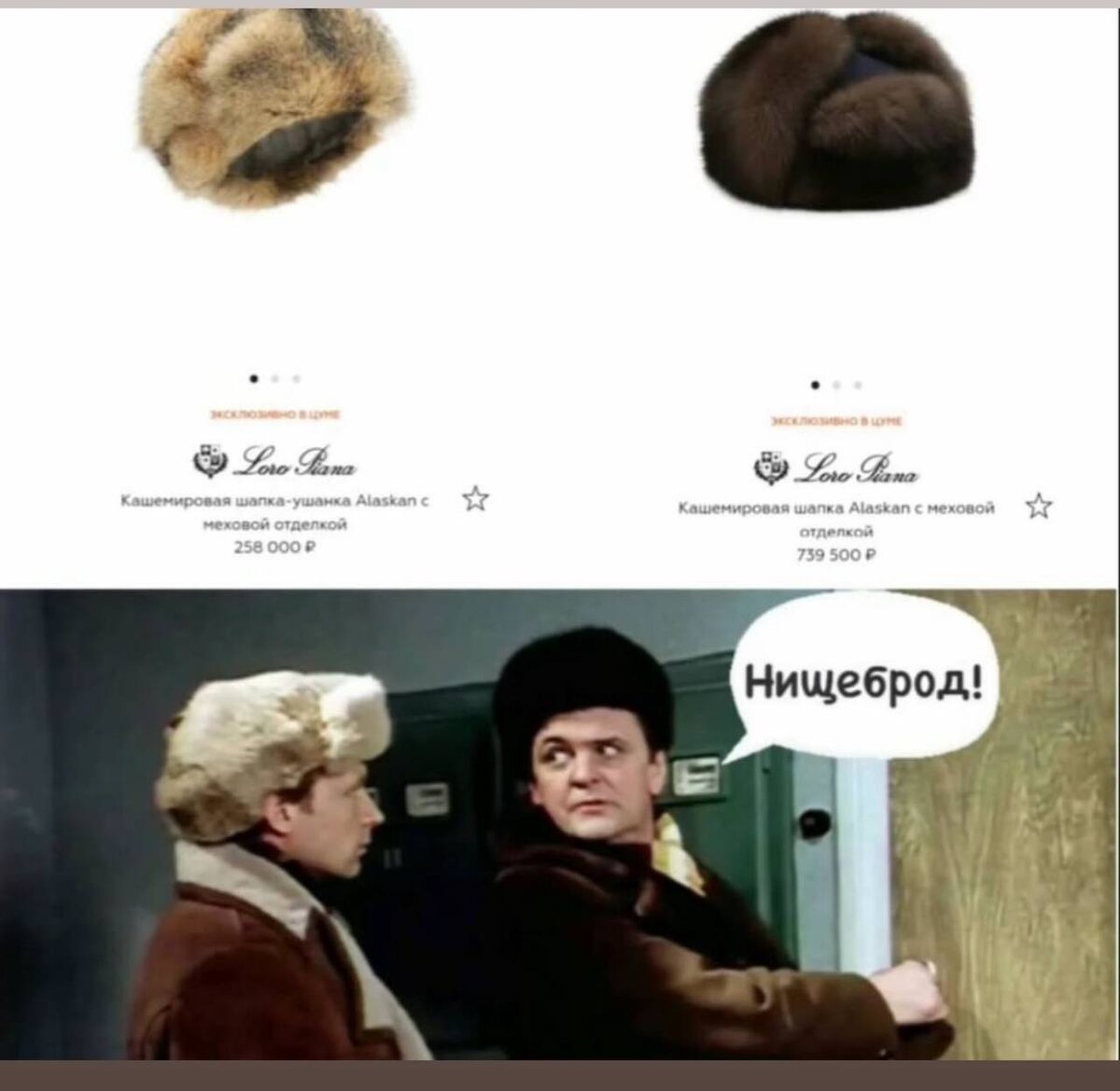 Стрелец и Лев сравнивают свои «короны» 