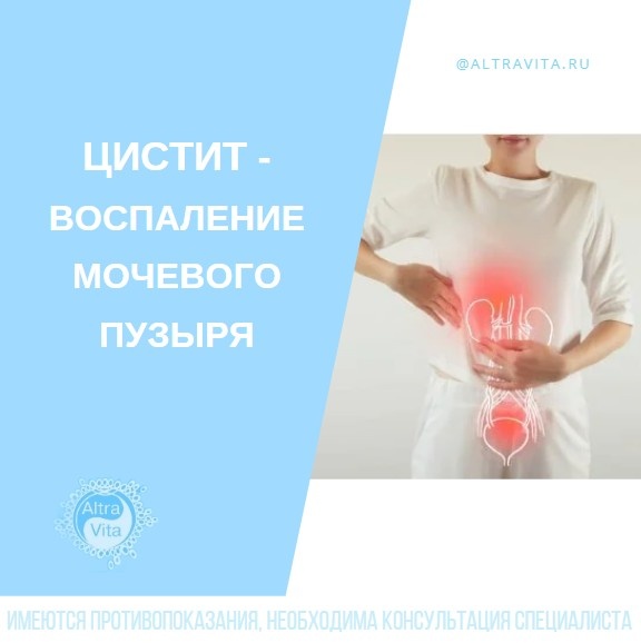 Цистит- воспаление мочевого пузыря