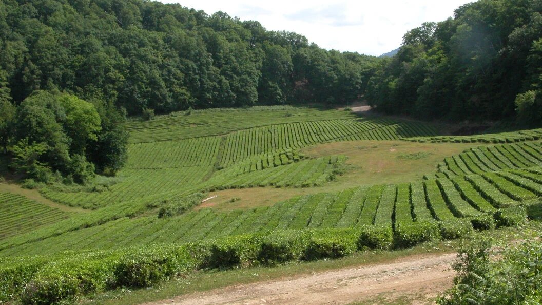    Victor Klyushkin/Russian Look/Globallookpress