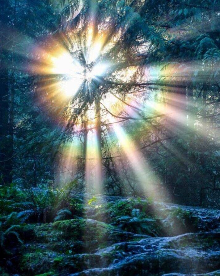 фото из Яндекса