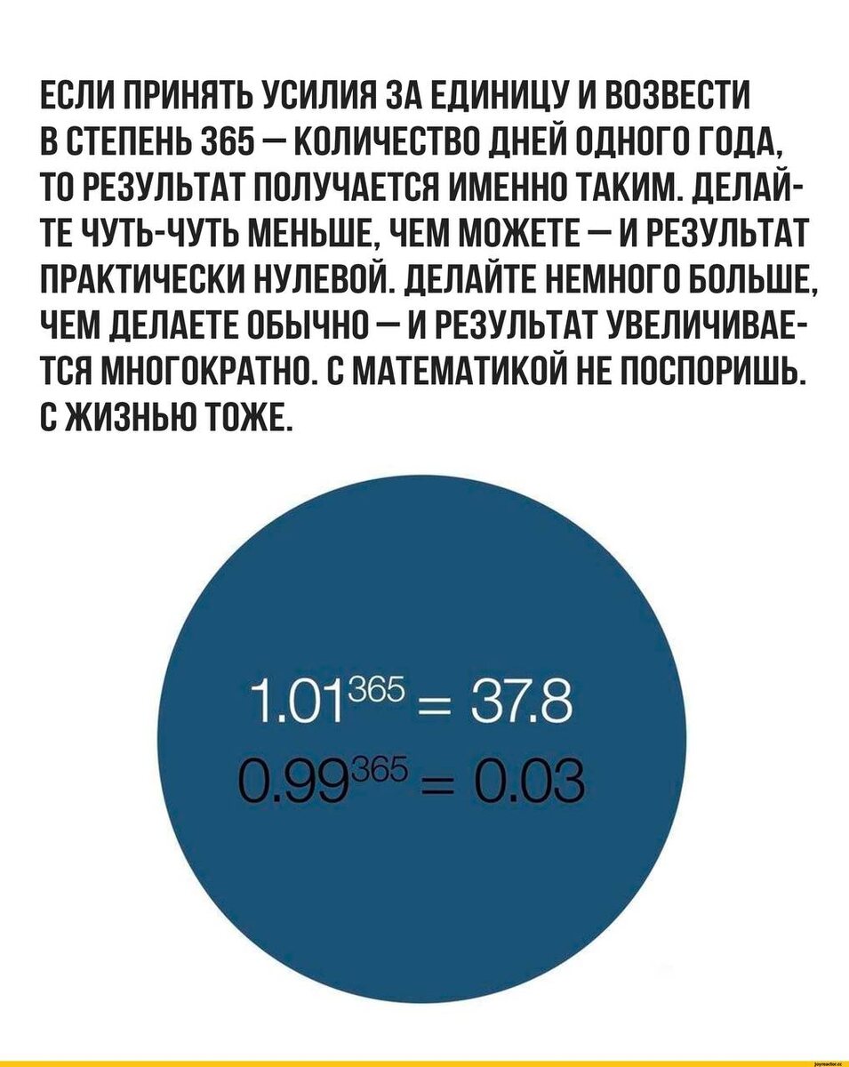 Фото из интернета