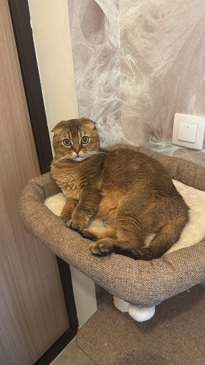 Мэй Ли (из личного архива)