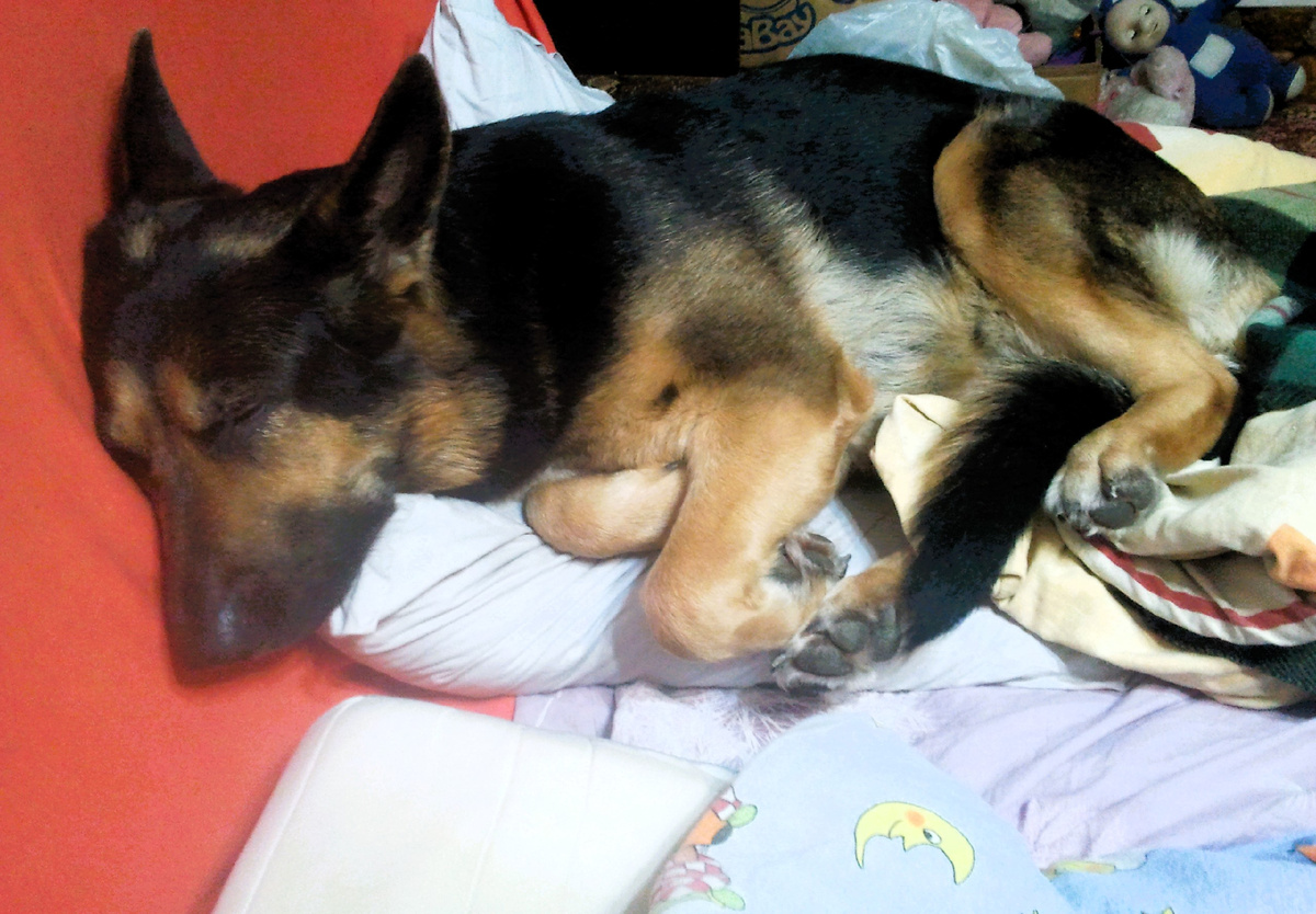 Фото автора