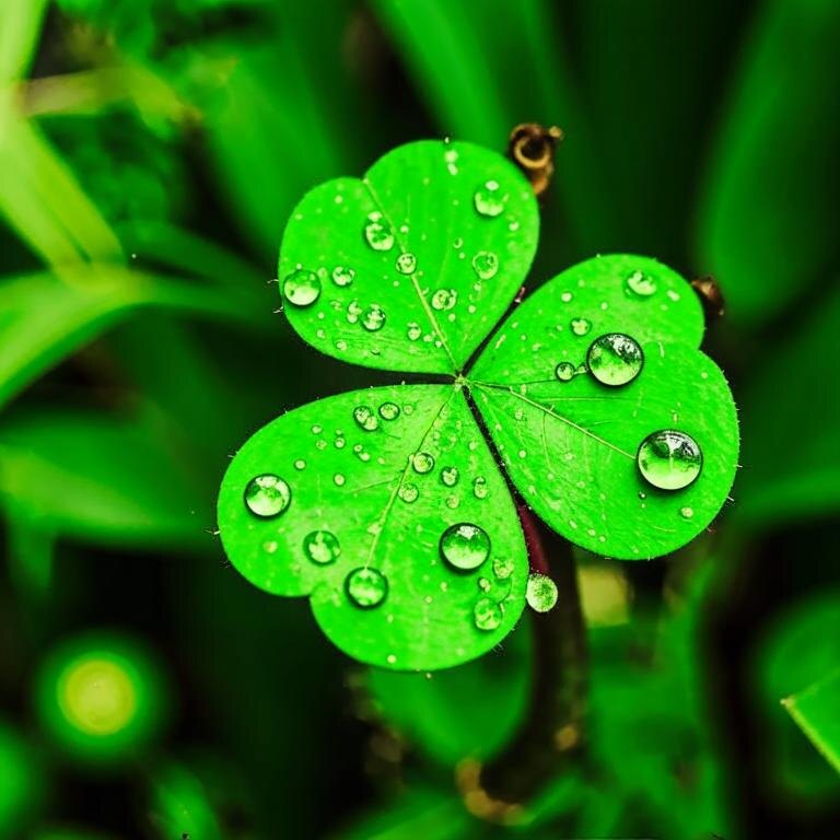 Фото взято из открытых источников.