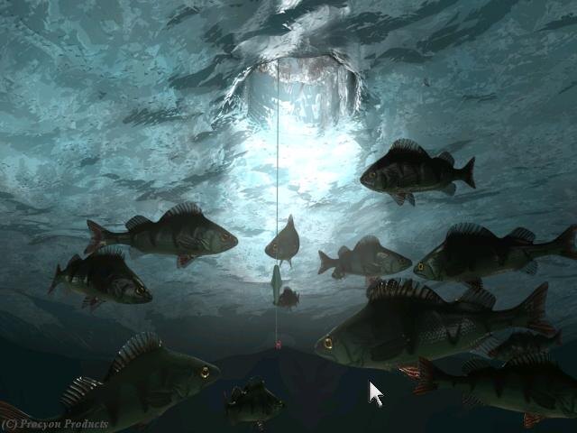 Фото взято с Яндекса.