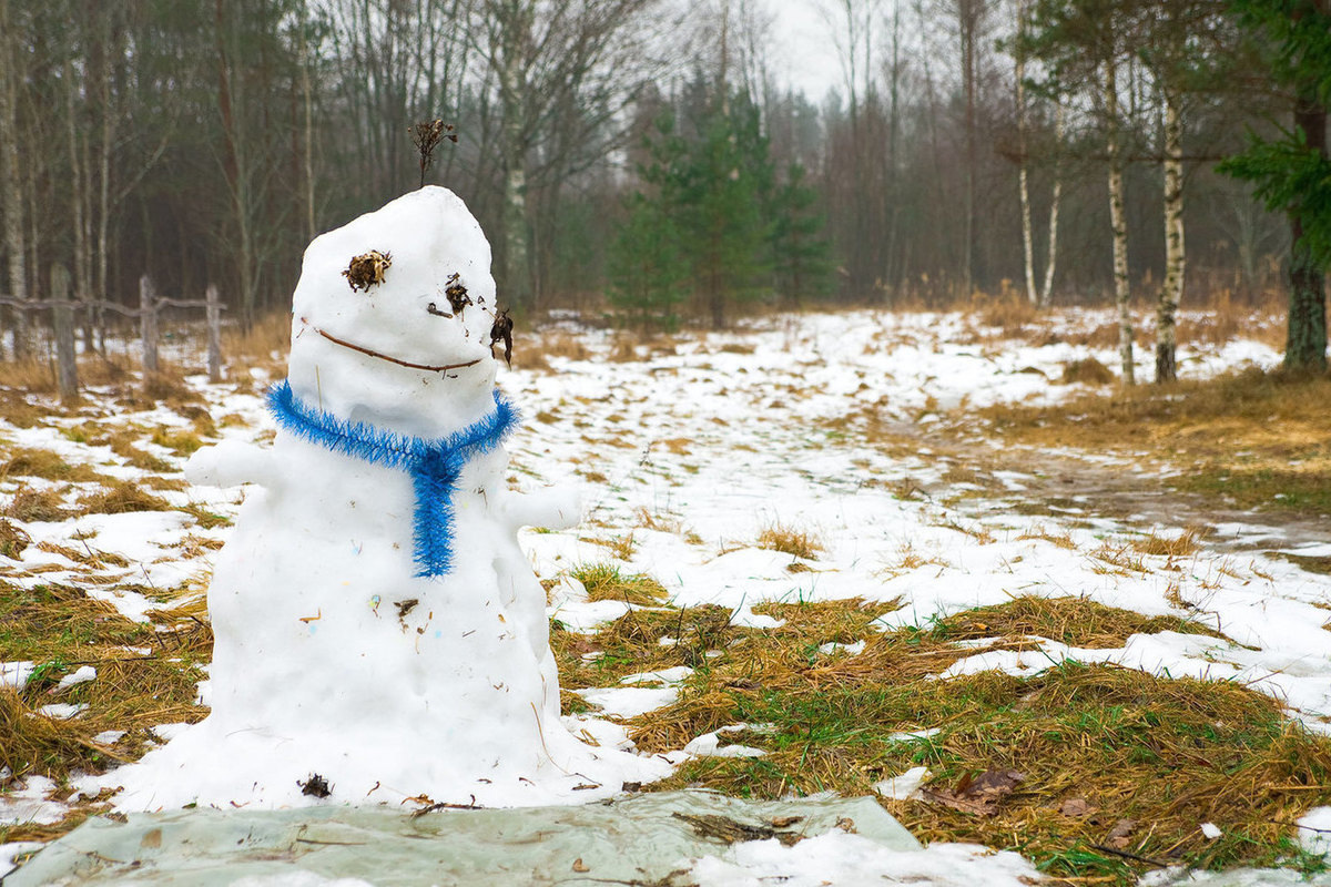 Ссылка на изображение: https://static.mk.ru/upload/entities/2020/01/14/09/articles/facebookPicture/cd/be/73/5d/f583d4b523731b2106450e329f695341.jpg