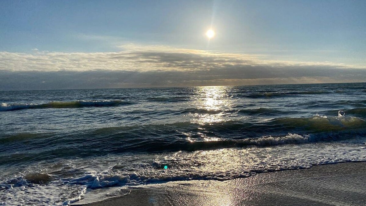    Фото: телеканал «Краснодар»