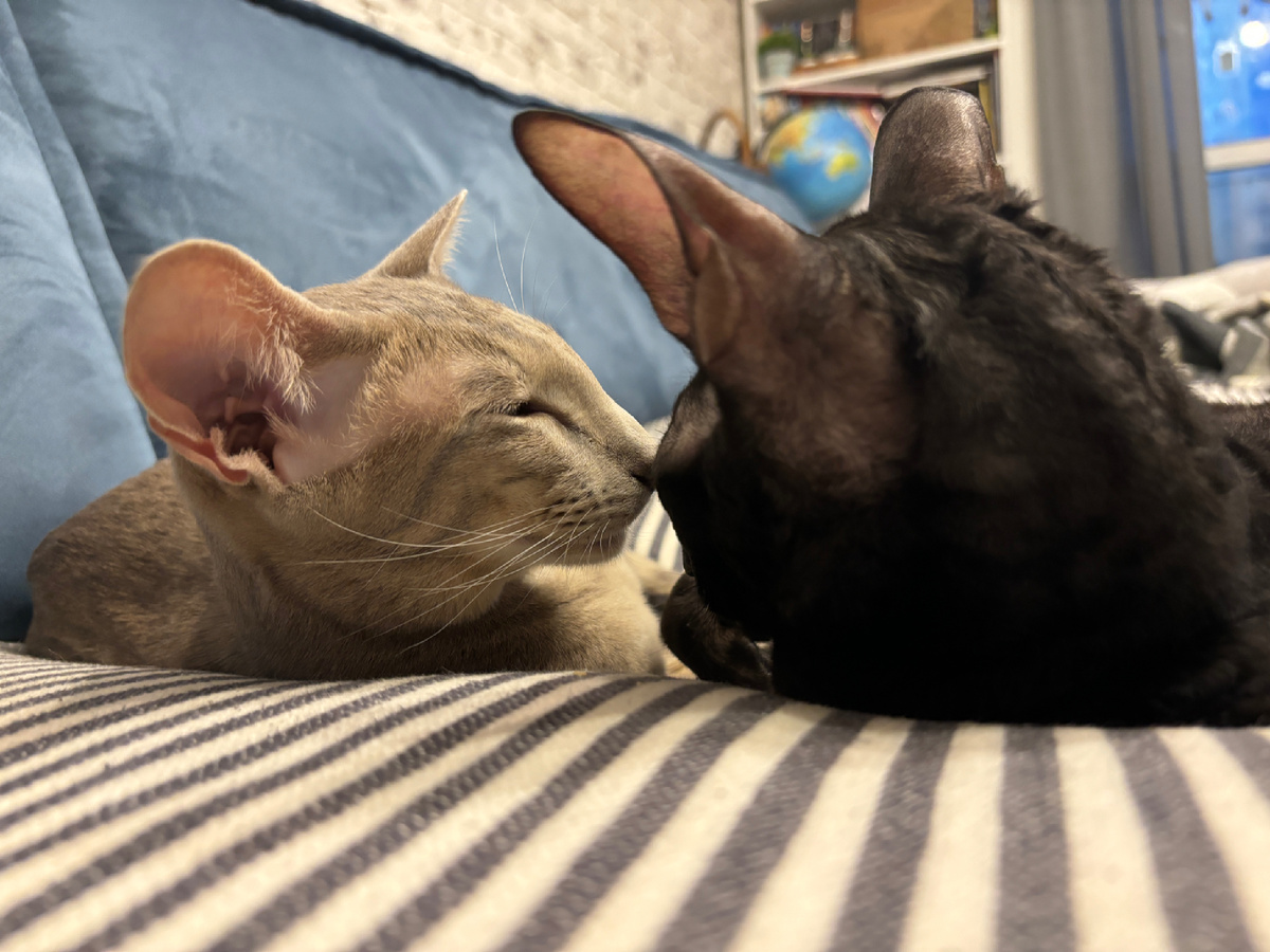 Фото автора. Просто такая сильная любовь (С)