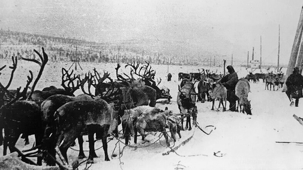 Фотохроника Великой Отечественной войны. Карельский фронт