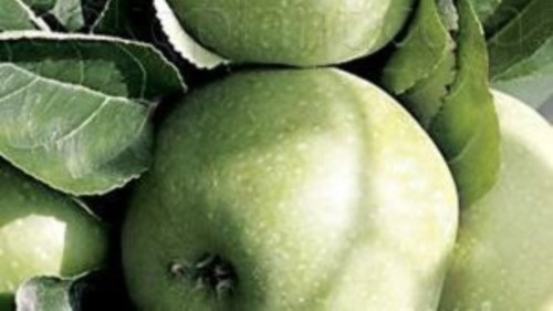 Симиренко. Фото с pinterest.com