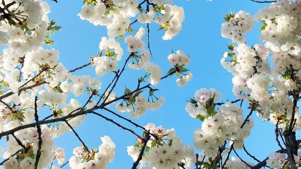 Фото с pinterest.com