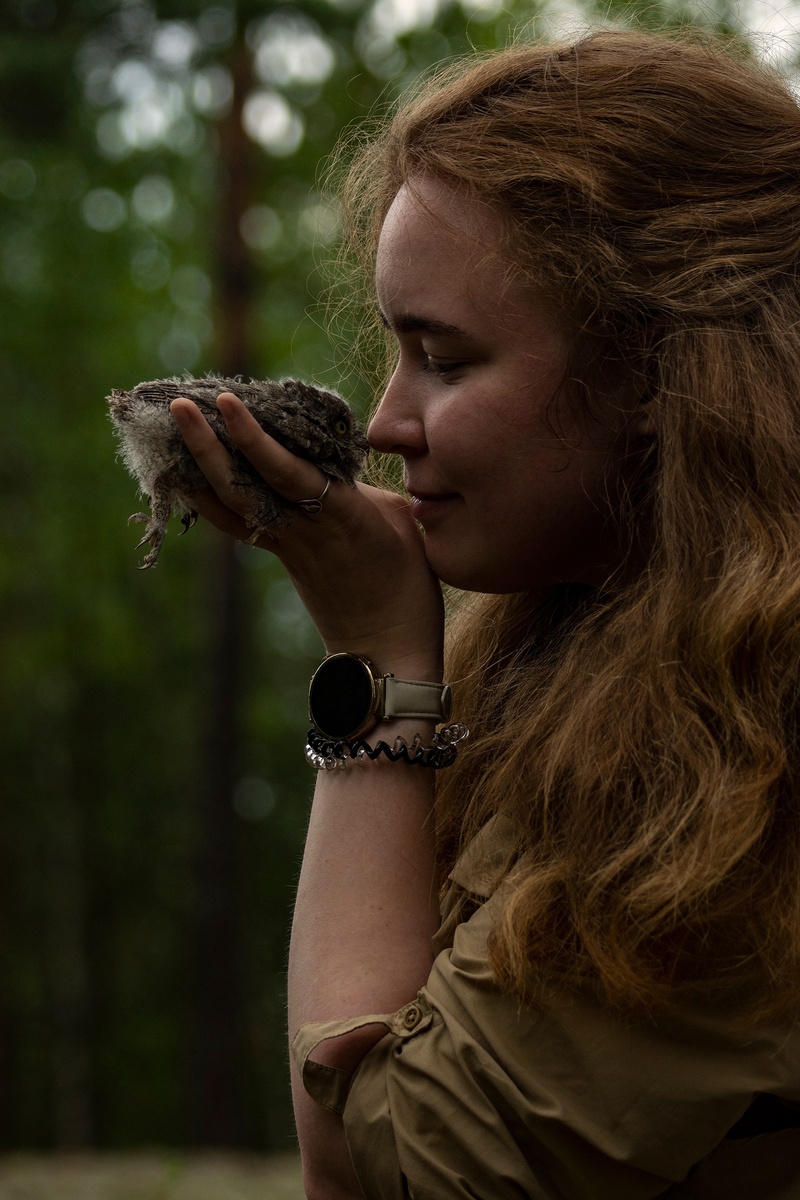 Во время кольцевания птенцов совы-сплюшки нельзя так просто не поумиляться малышам