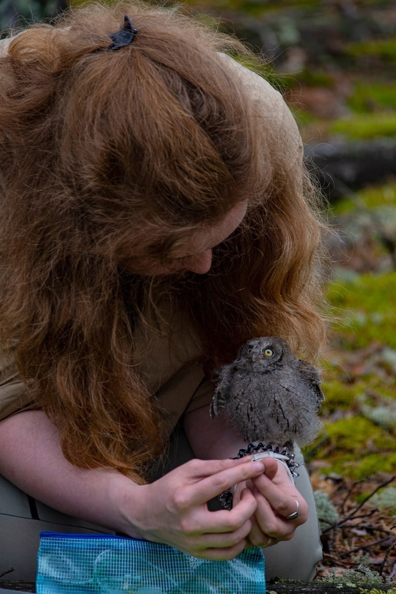Оденешь колечко? 
