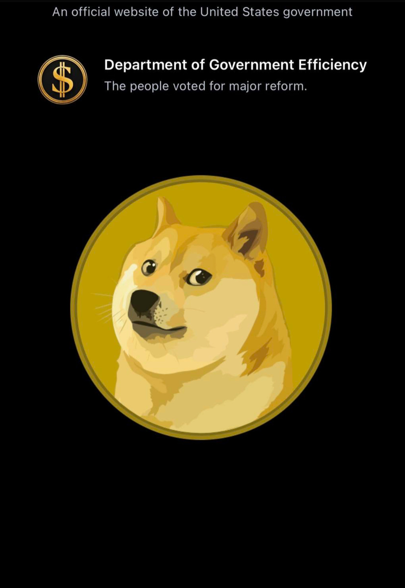 Лого $DOGE на официальном сайте D.O.G.E