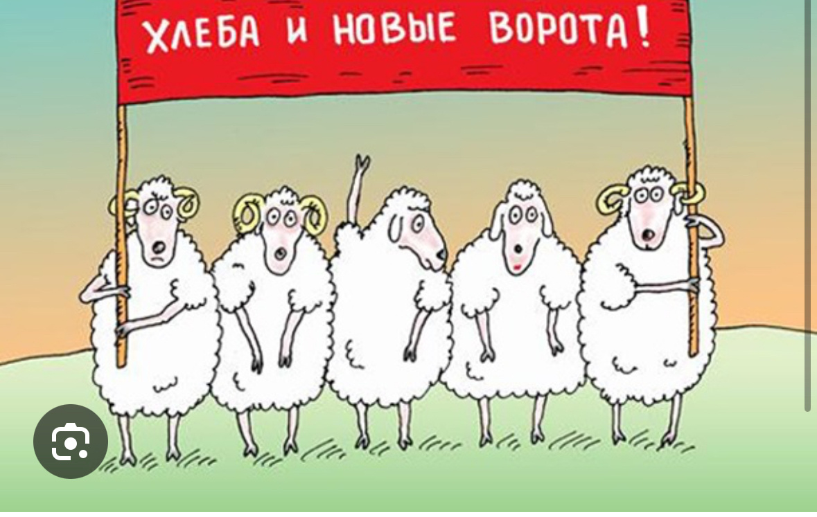 Баран и новые ворота