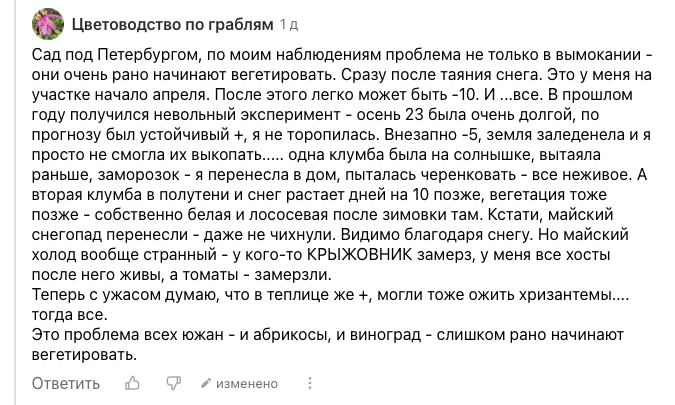 Скриншот моего комментария на канале Сад под Петербургом https://dzen.ru/a/Z4oY7sawi3ea2JgL 
