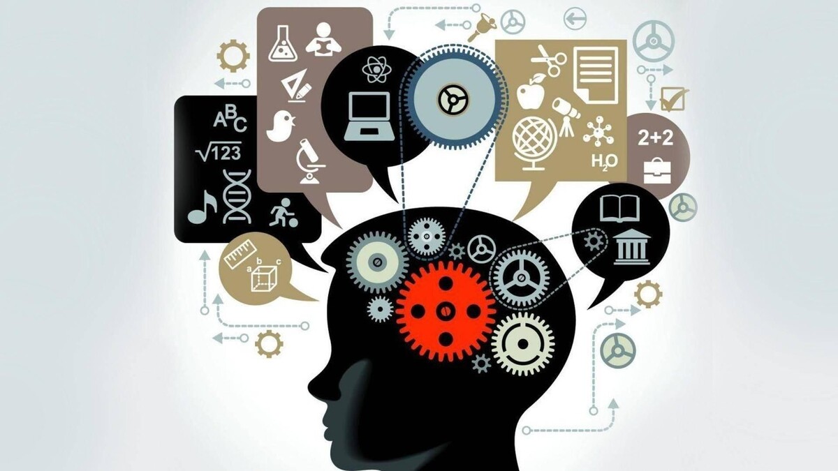 Фото взято с открытых источников