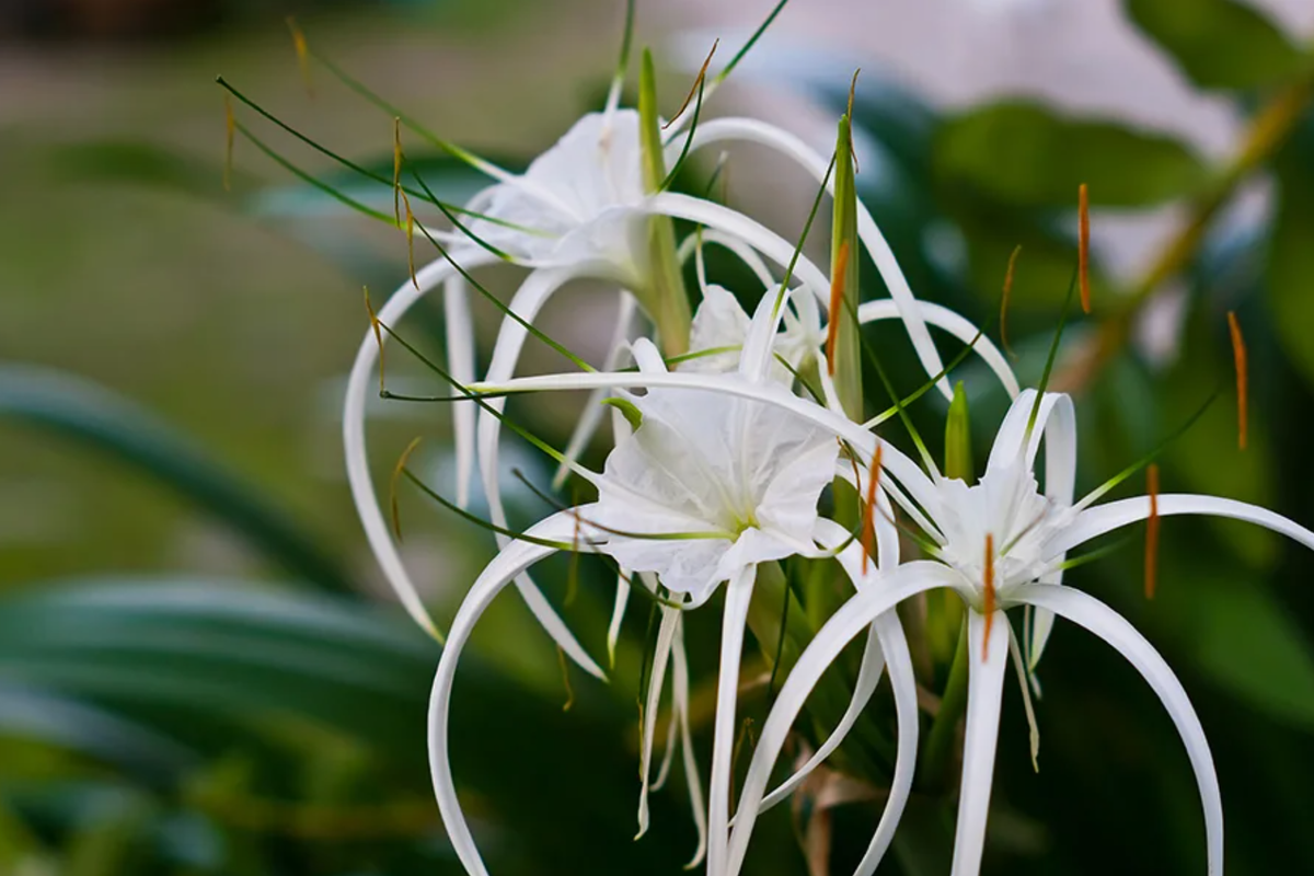 Источник фото: pinterest.com