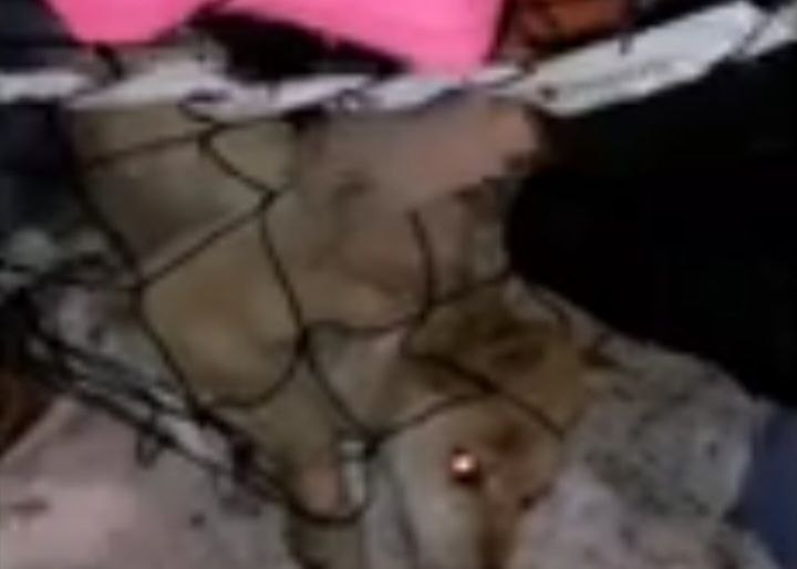 © Скриншот видео.📷
