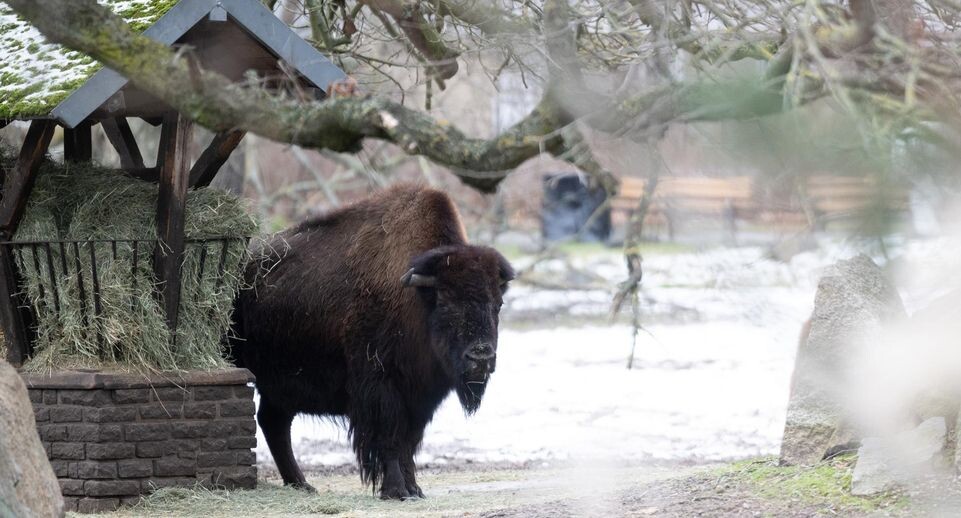    Sebastian Gollnow/dpa / Global Look Press