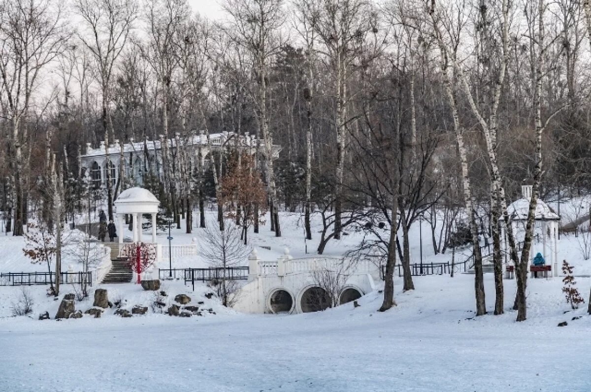    Солнечно и потеплеет: какая погода будет в Хабаровске и крае 23 января