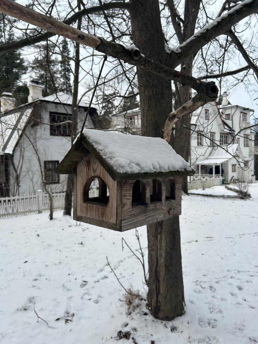 Фото автора, Поленово, 2025