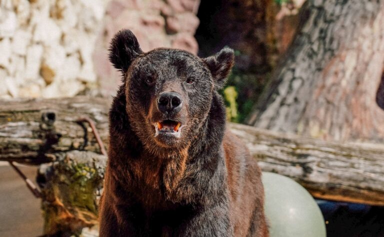    Фото: пресс-служба зоопарка/Агентство "Москва" Екатерина Шахнина