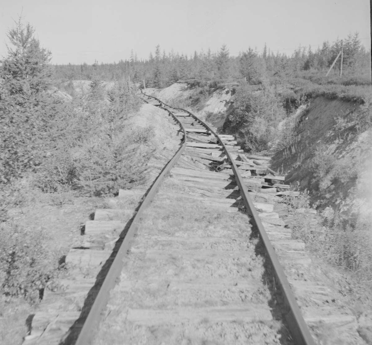 Фото из архива историка Вадима Гриценко: трасса дороги в районе Надыма, Ямало-Ненецкий автономный округ