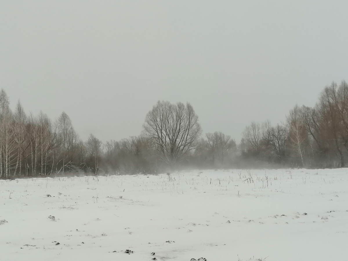 Всё, как вчера. Метель, дубль два. 