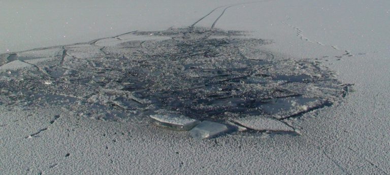    Фото: 74.mchs.gov.ru Анфиса Слепцова