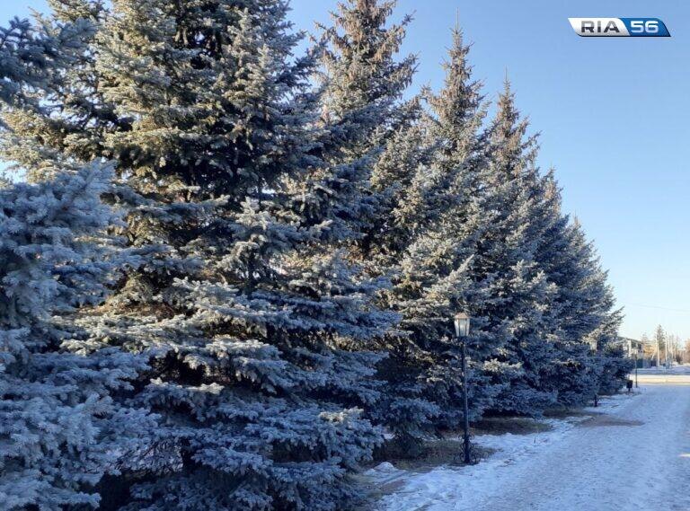    Утром до -30. Днем, 23 января, в Оренбуржье ожидается до -17 градусов, без осадков Кристина Просвиркина