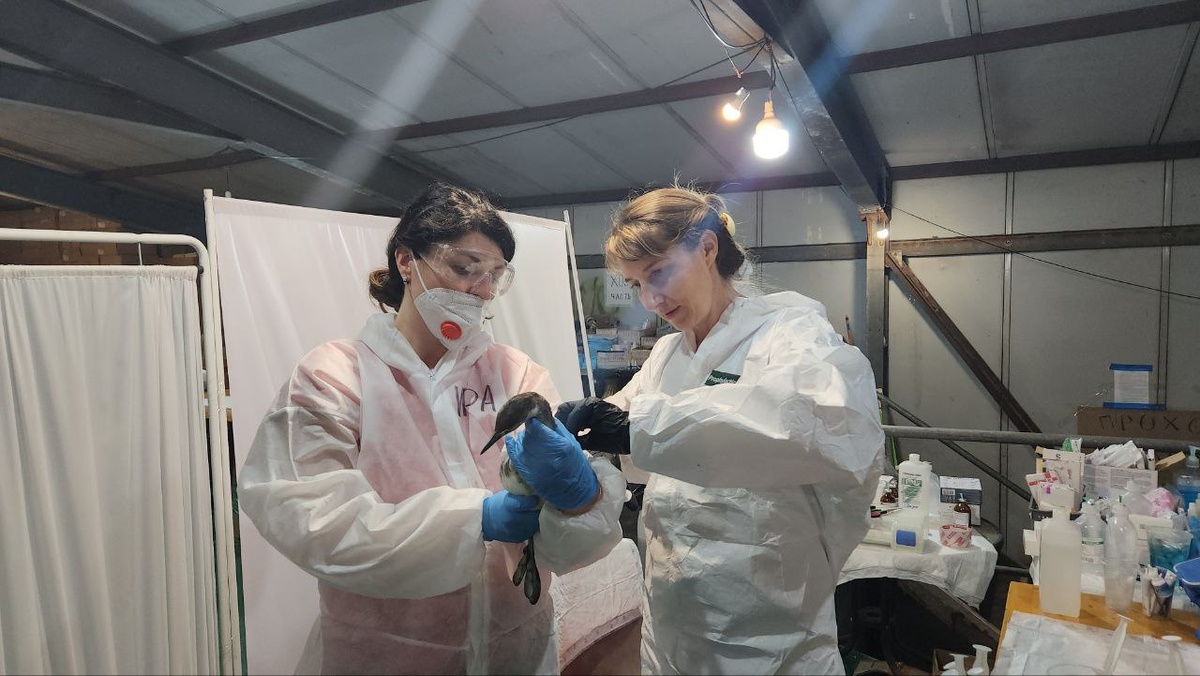 Фото: Ирина Елкина