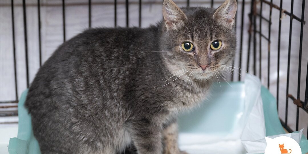 Солнце в вашей жизни