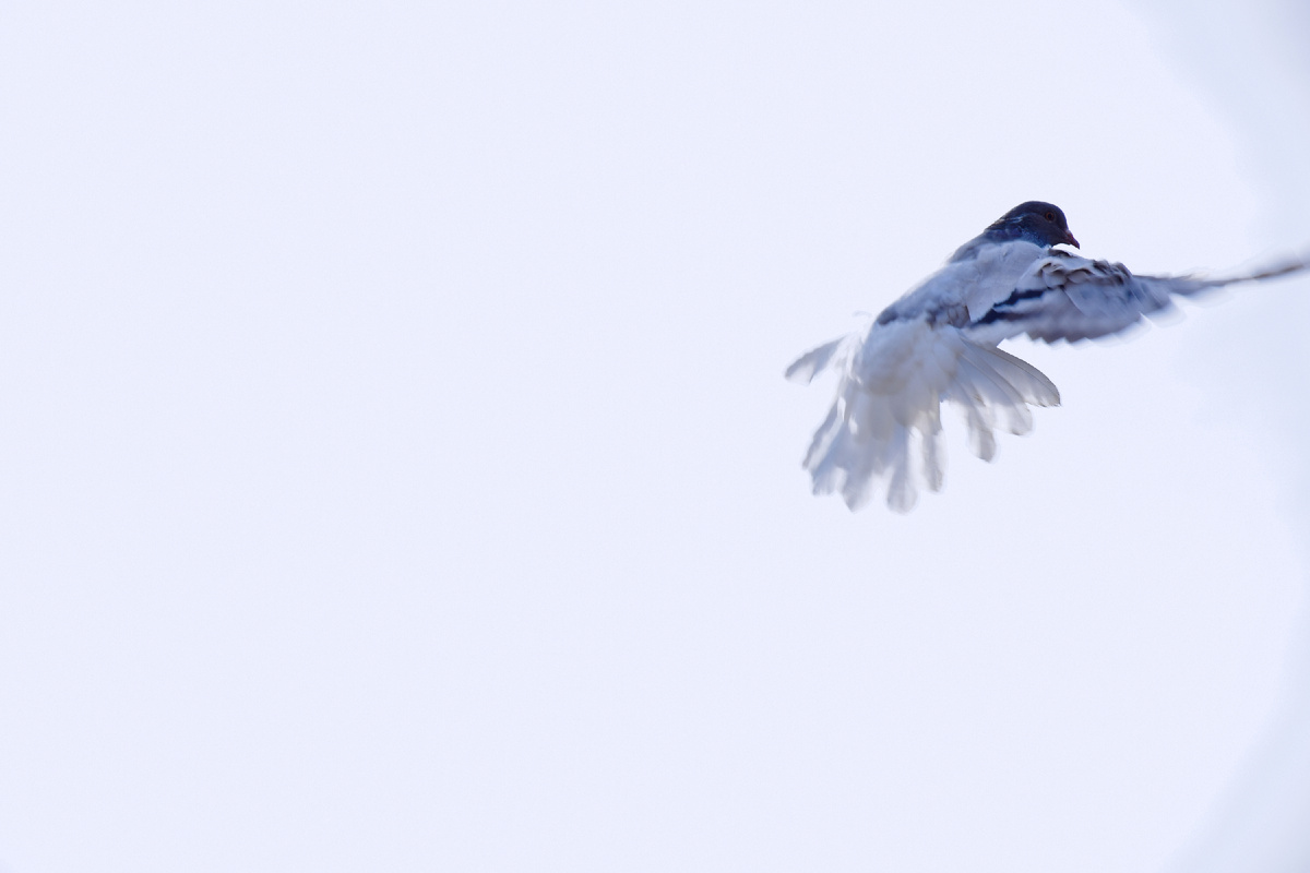 Фото моё 😉