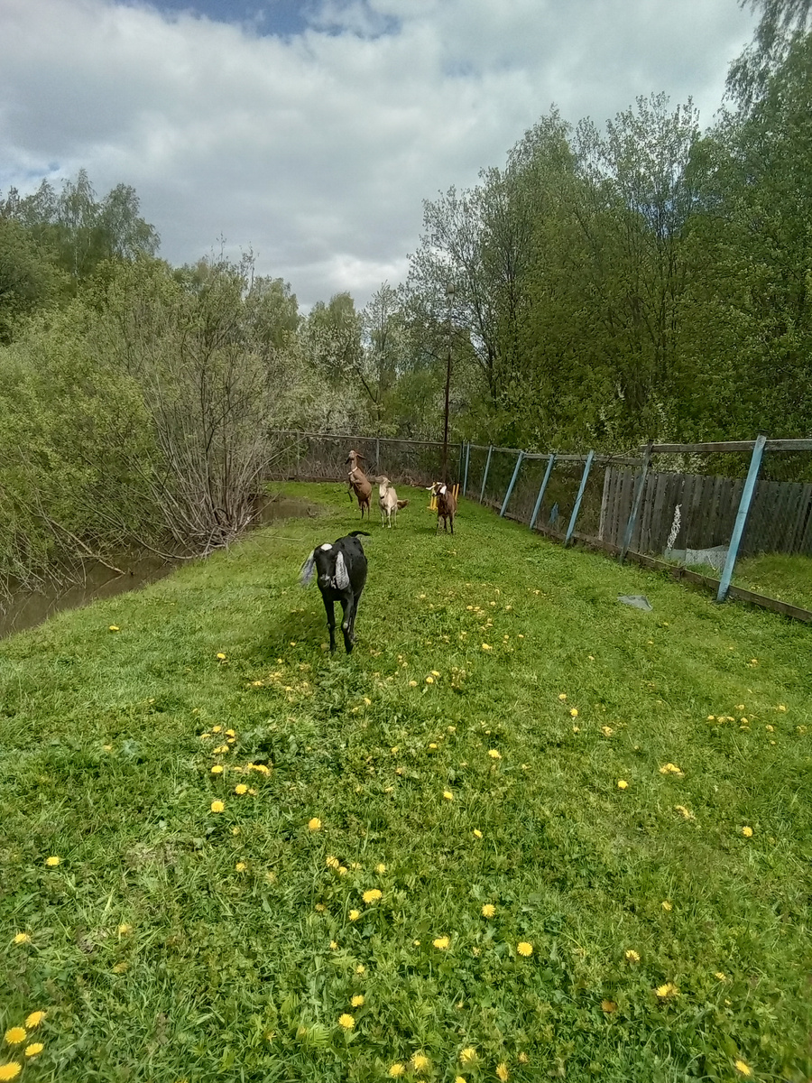 Фото автора.