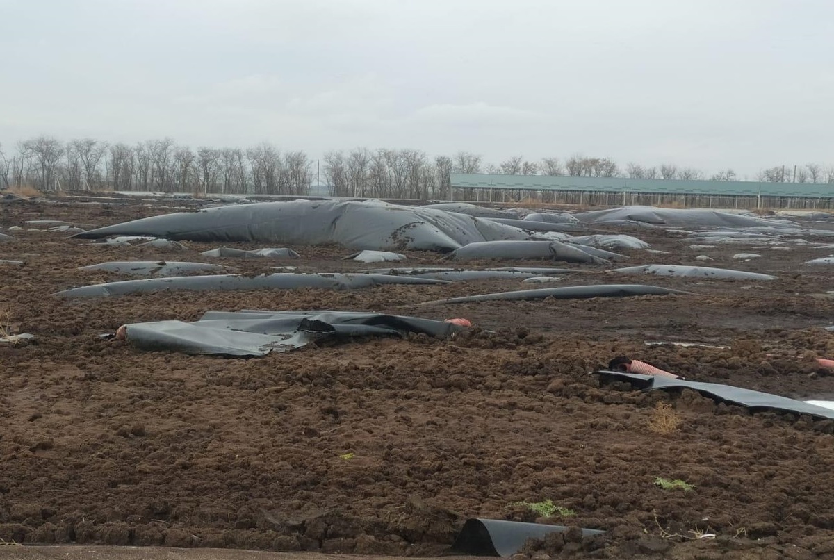 Низкое качество геомембраны приводит к появление дефектов структуры материала и разрушению объекта