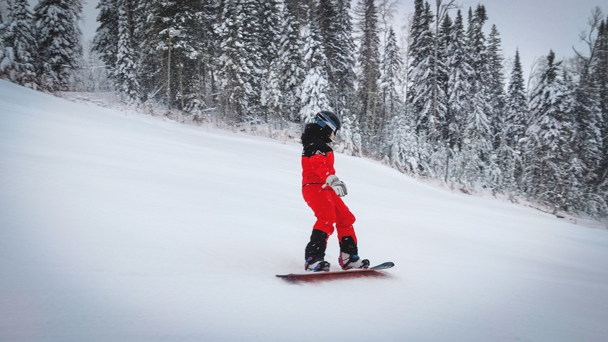     Источник: 1MI