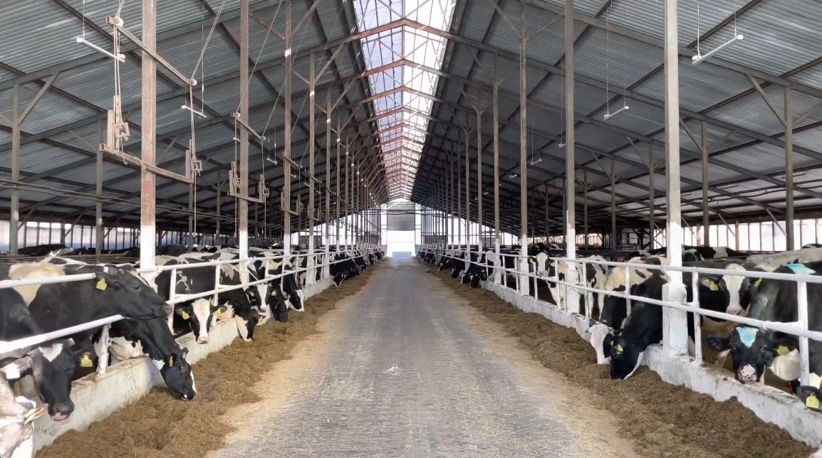 Фото: Pr Scr/youtube.com