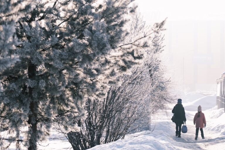    Фото: unsplash.com/Alexandr K Илья Федоров